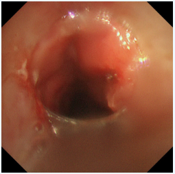 6dd54cca-c6f1-42da-9b53-753be3a7400f